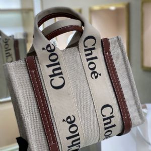 CELINE赛琳包包电商直播带货工厂直批一件代发