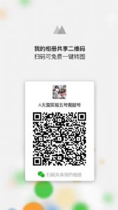 莆田运动鞋厂家微信东莞万江货源椰子350og纯原版本