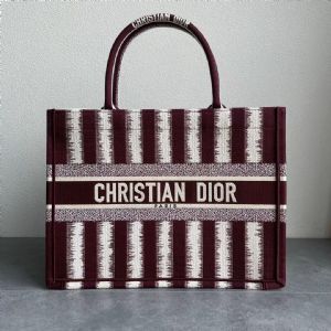 Book Tote手袋Dior手提包，携带各种日常用品的理想之选